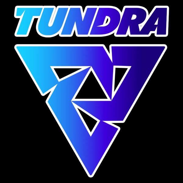 Каковы шансы Azure Ray на победу Tundra Esports в матче на PGL Wallachia 2024 Season 2?